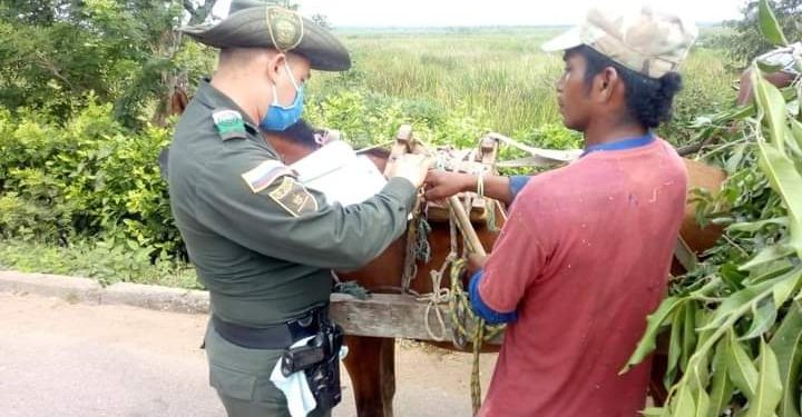 Policía Ambiental y Ecológica de Bolívar, continúa imponiendo comparendos