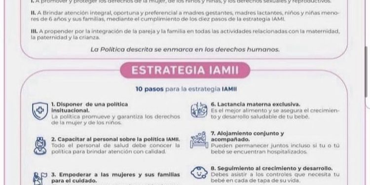Política y Estrategias IAMI
