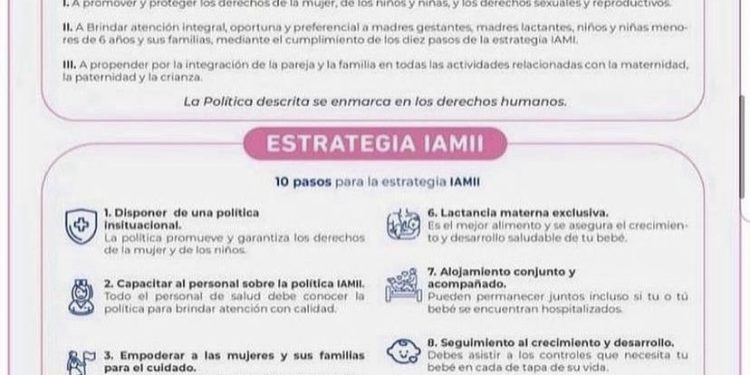 POLÍTICAS Y ESTRATEGIAS IAMII
