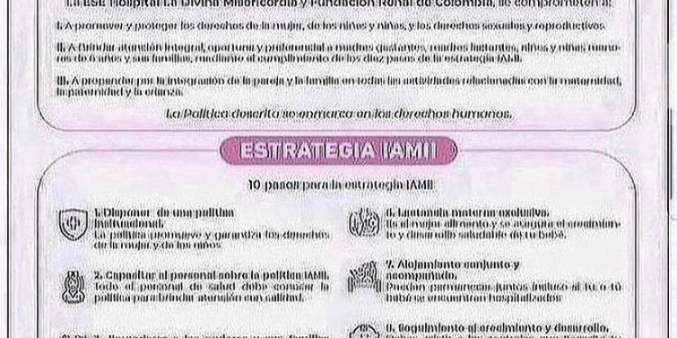 POLÍTICAS Y ESTRATEGIAS IAMII