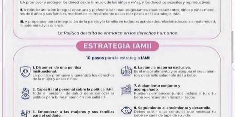POLÍTICAS Y ESTRATEGIAS IAMII