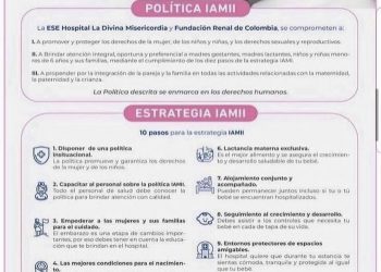 POLÍTICAS Y ESTRATEGIAS IAMII