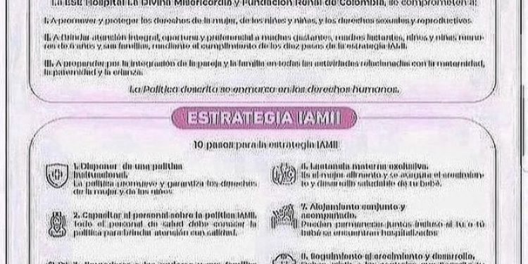 POLÍTICAS Y ESTRATEGIAS IAMII