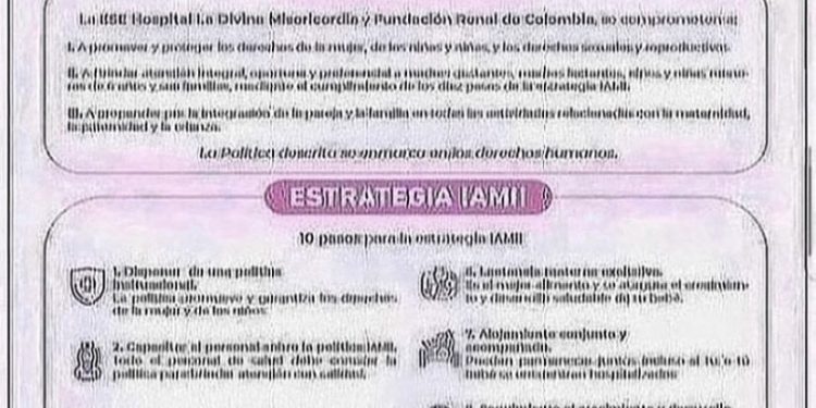 POLÍTICAS Y ESTRATEGIAS IAMII