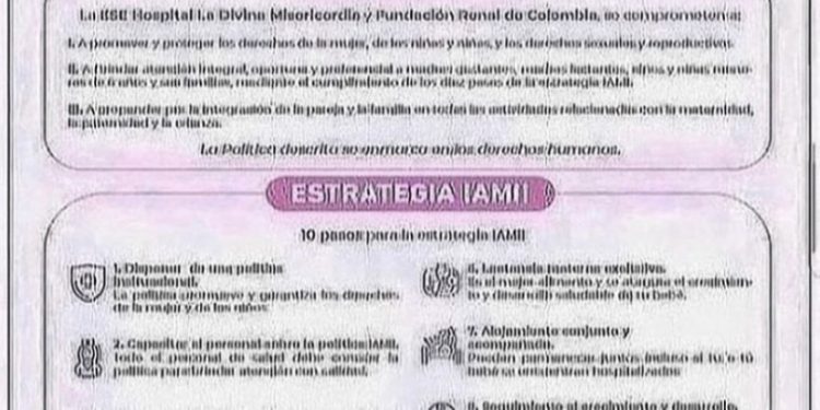POLÍTICAS Y ESTRATEGIAS IAMII
