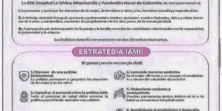 POLÍTICAS Y ESTRATEGIAS IAMII