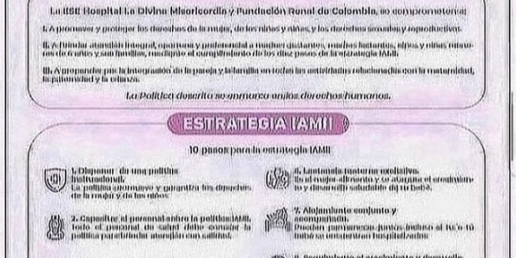 POLÍTICAS Y ESTRATEGIAS IAMII