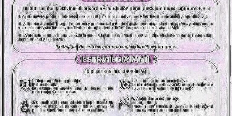 POLÍTICAS Y ESTRATEGIAS IAMII