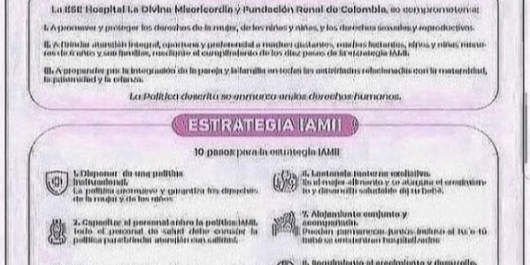 POLÍTICAS Y ESTRATEGIAS IAMII