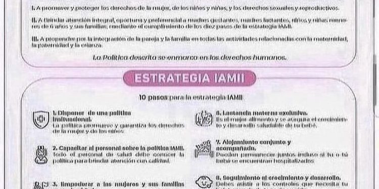 POLÍTICAS Y ESTRATEGIAS IAMII