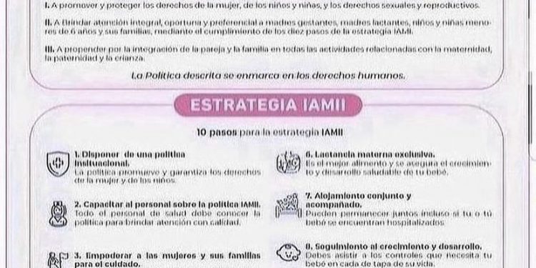 POLÍTICAS Y ESTRATEGIAS IAMII