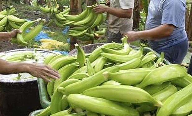 Los alimentos de la canasta familiar que más bajaron de precio en mayo 