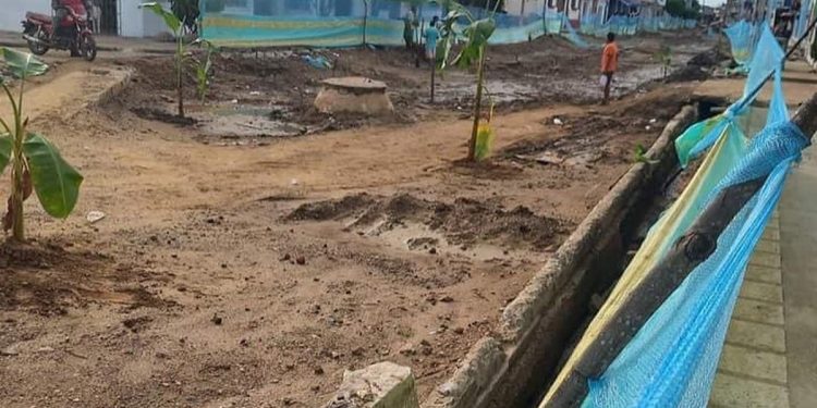Siembran matas de plátano en la Avenida Colombia por retraso en la pavimentación