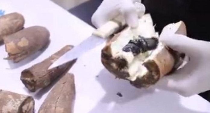 Incautan cargamento de ‘narcoyucas’ y ‘narcopapas’ 