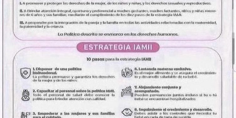 POLÍTICAS Y ESTRATEGIAS IAMII