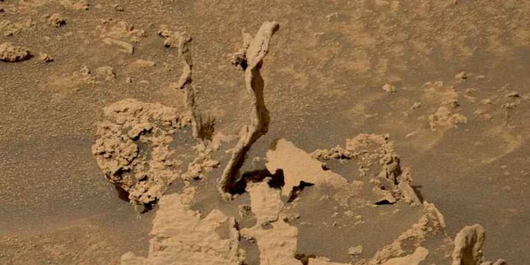 Nuevo misterio en Marte: el Rover Curiosity halla unas estructuras parecidas a los árboles