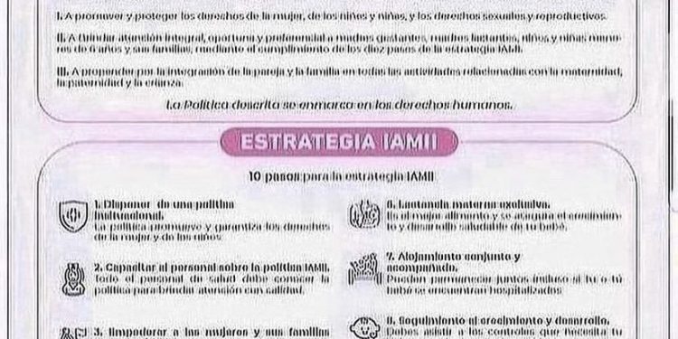 POLÍTICAS Y ESTRATEGIAS IAMII