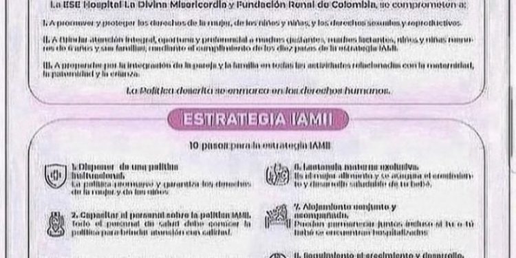 POLÍTICAS Y ESTRATEGIAS IAMII