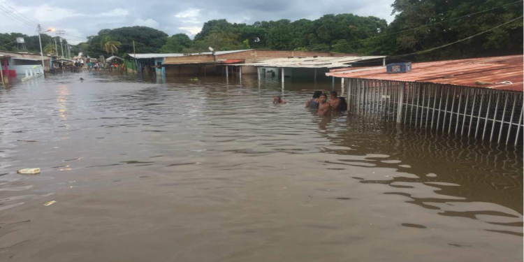 «PALO PORQUE BOGA Y PALO PORQUE NO BOGA»