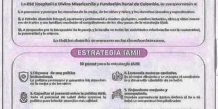 POLÍTICAS Y ESTRATEGIAS IAMII