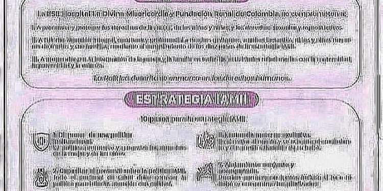 POLÍTICAS Y ESTRATEGIAS IAMII