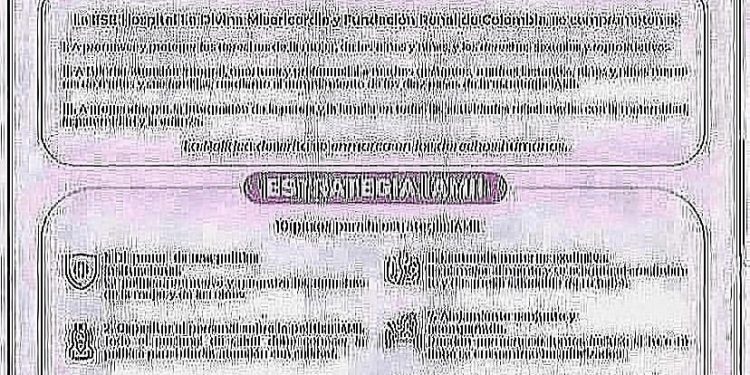 POLÍTICAS Y ESTRATEGIAS IAMII