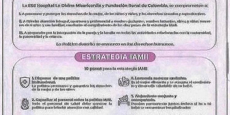 POLÍTICAS Y ESTRATEGIAS IAMII