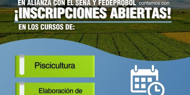 ISA Intercolombia instalará un nuevo transformador y modernos equipos en la subestación Chinú