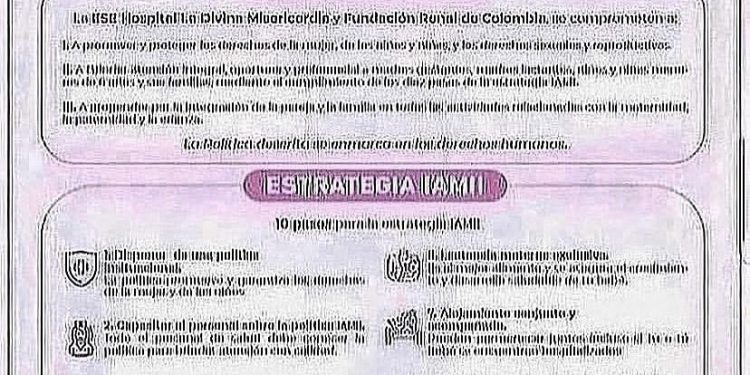 POLÍTICAS Y ESTRATEGIAS IAMII