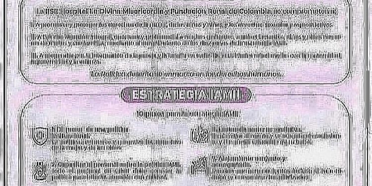 POLÍTICAS Y ESTRATEGIAS IAMII