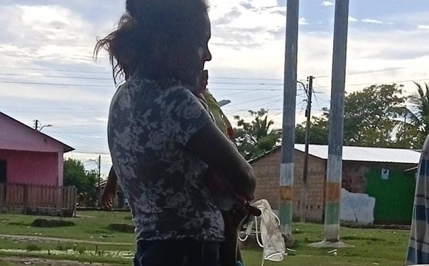 Trasladan a Magangué a dos niños y un adulto atacados por abejas africanizadas