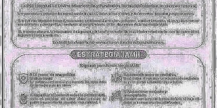 POLÍTICAS Y ESTRATEGIAS IAMII