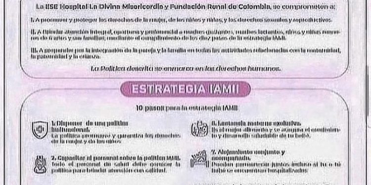 POLÍTICAS Y ESTRATEGIAS IAMII