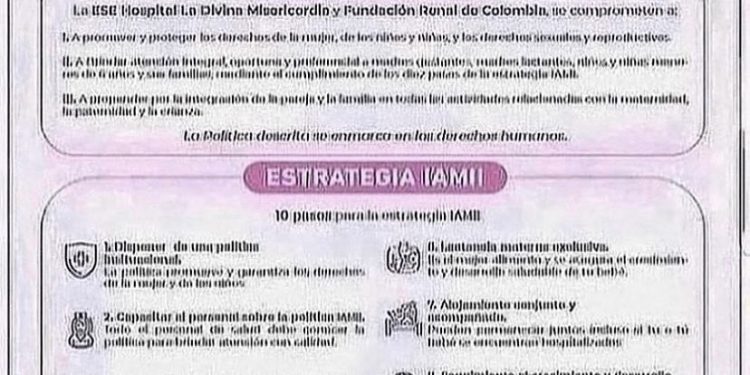POLÍTICAS Y ESTRATEGIAS IAMII