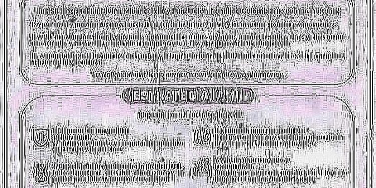 POLÍTICAS Y ESTRATEGIAS IAMII