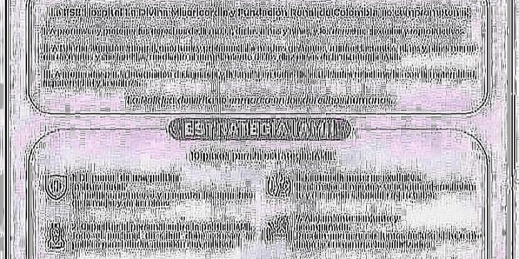 POLÍTICAS Y ESTRATEGIAS IAMII