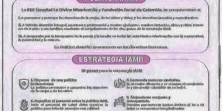 POLÍTICAS Y ESTRATEGIAS IAMII