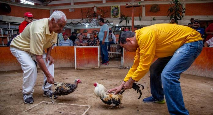 Aumenta el debate frente a la prohibición de las peleas de gallos