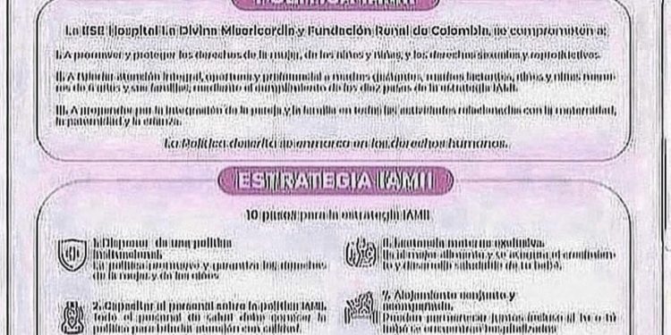 POLÍTICAS Y ESTRATEGIAS IAMII