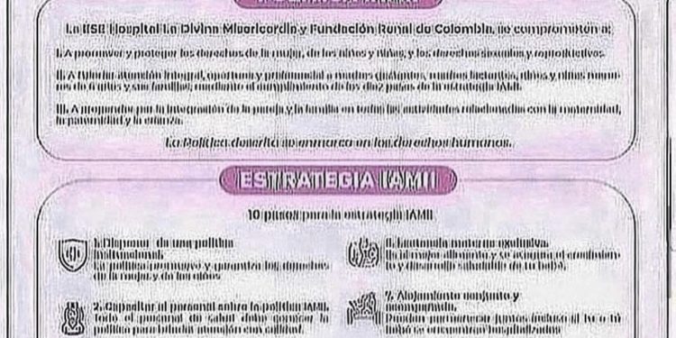 POLÍTICAS Y ESTRATEGIAS IAMII