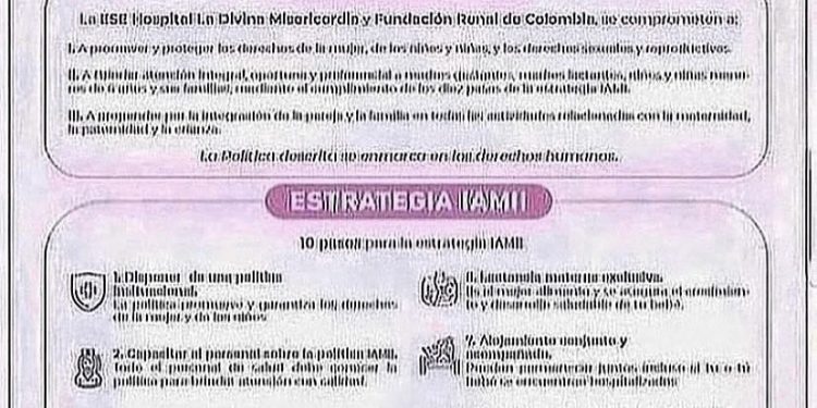 POLÍTICAS Y ESTRATEGIAS IAMII