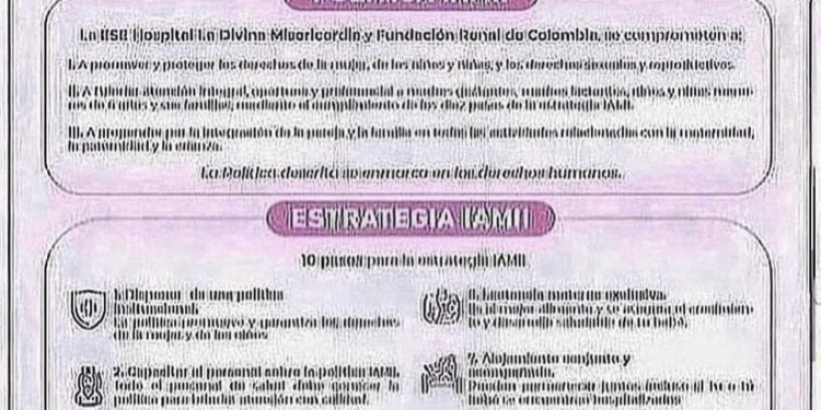 POLÍTICAS Y ESTRATEGIAS IAMII