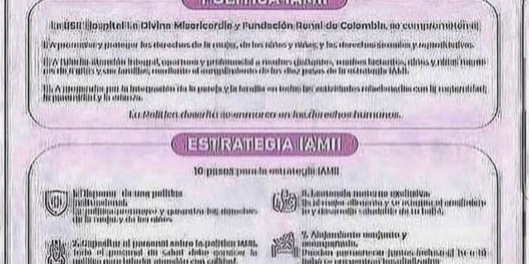 POLÍTICAS Y ESTRATEGIAS IAMII