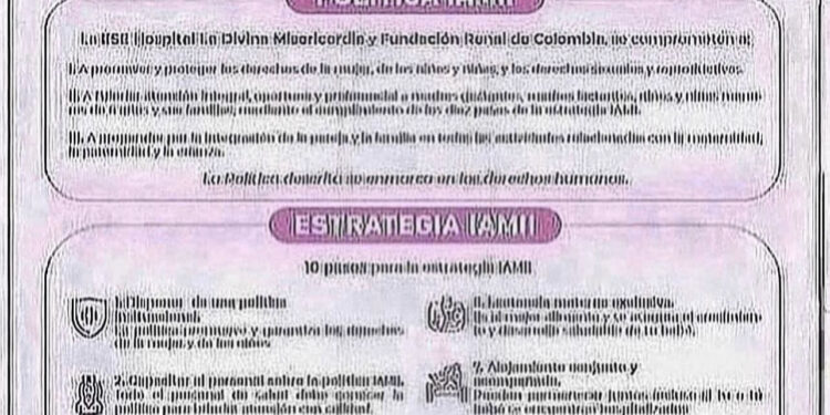 POLÍTICAS Y ESTRATEGIAS IAMII