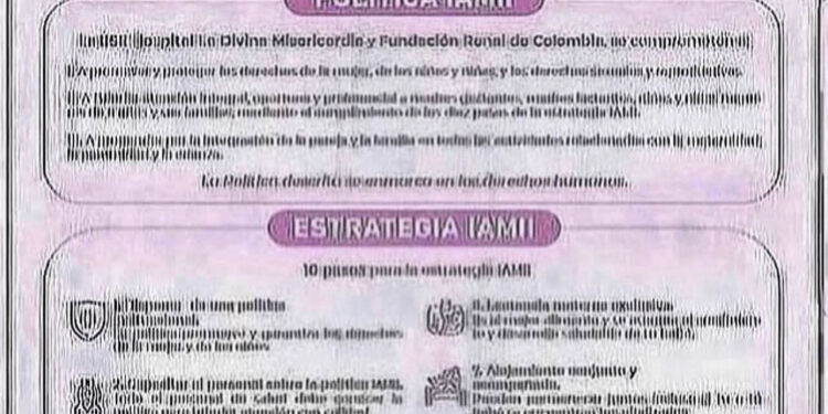 POLÍTICAS Y ESTRATEGIAS IAMII