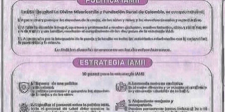 POLÍTICAS Y ESTRATEGIAS IAMII