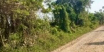 Violencia en el Sur de Bolívar: Dos cuerpos sin vida en menos de 24 horas
